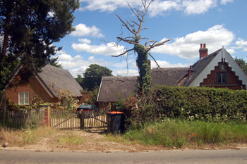 Home Farm June 2008